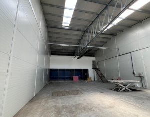 Industrial space for rent in Gilau
