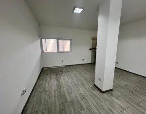 Industrial space for rent in Gilau
