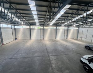 Industrial space for rent in Gilau