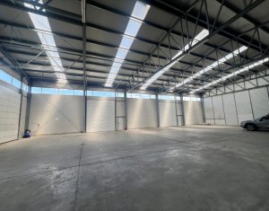 Industrial space for rent in Gilau