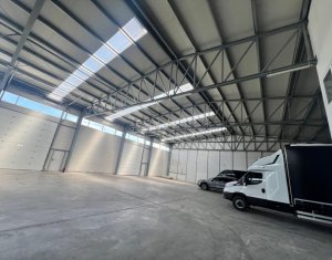 Industrial space for rent in Gilau