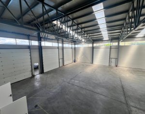 Industrial space for rent in Gilau