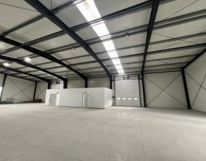 Industrial space for rent in Gilau