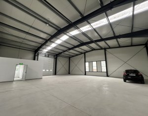 Industrial space for rent in Gilau