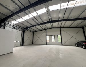 Industrial space for rent in Gilau