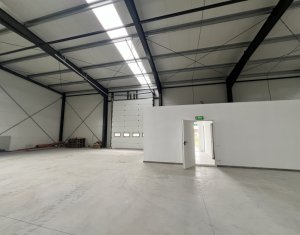 Industrial space for rent in Gilau