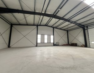 Industrial space for rent in Gilau