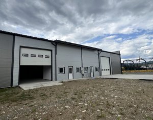 Industrial space for rent in Gilau