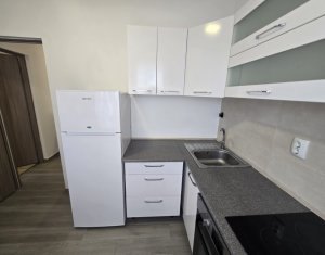 Apartament 2 camere, Buna Ziua, Parcare, zona strazii Mihai Romanul, terasa 40mp