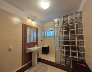 Casa individuala, garaj, 3 parcari, 210mp, gradina, Dambul Rotund