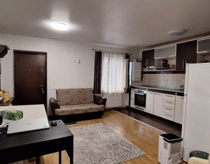 Apartment 2 rooms for rent in Cluj-napoca, zone Buna Ziua