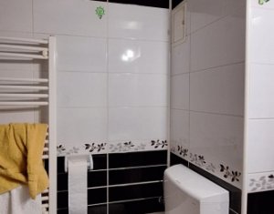 Apartment 2 rooms for rent in Cluj-napoca, zone Buna Ziua