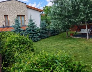 House 5 rooms for rent in Cluj-napoca, zone Europa