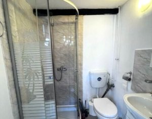 Inchiriere studio ultracentral, zona linistita