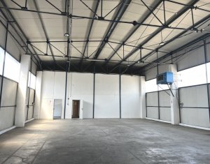 Industrial space for rent in Cluj-napoca, zone Someseni