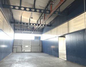 Industrial space for rent in Cluj-napoca, zone Someseni