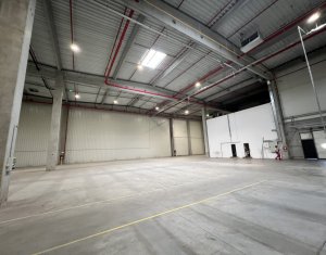 Espace Industriel à louer dans Cluj-napoca, zone Someseni