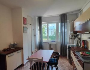 Apartament cu o camera, 42mp, Gruia, etaj 2/3