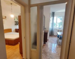 Apartament cu o camera, 42mp, Gruia, etaj 2/3