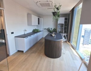 Office for rent in Cluj-napoca, zone Centru
