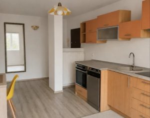 Apartment 2 rooms for rent in Cluj-napoca, zone Plopilor