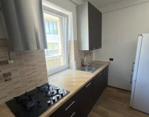 Appartement 2 chambres à louer dans Cluj-napoca, zone Intre Lacuri