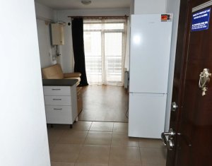 Apartament cu o camera, Plopilor, Parcul Rozelor