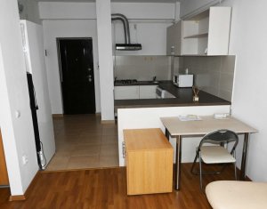 Apartament cu o camera, Plopilor, Parcul Rozelor