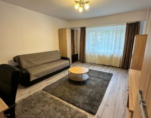 Apartament 1 camera, Cipariu