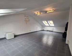 Spațiu comercial sau birou, mansarda, Motilor zona Platinia Ursus