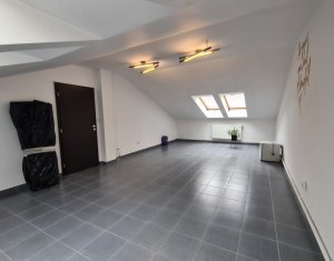 Spațiu comercial sau birou, mansarda, Motilor zona Platinia Ursus