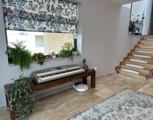 Casa moderna de inchiriat, Andrei Muresanu