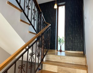 Casa moderna de inchiriat, Andrei Muresanu