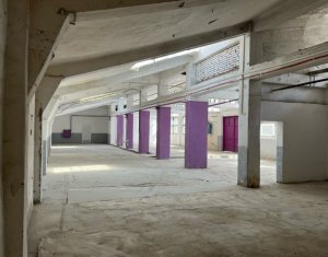 Industrial space for rent in Cluj-napoca, zone Bulgaria