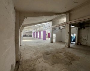 Industrial space for rent in Cluj-napoca, zone Bulgaria