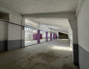 Industrial space for rent in Cluj-napoca, zone Bulgaria