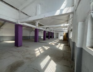 Industrial space for rent in Cluj-napoca, zone Bulgaria