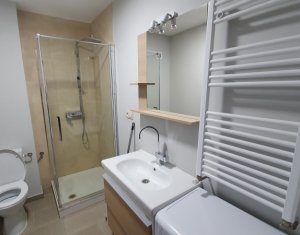 Inchiriere apartament cu o camera, strada Razoare