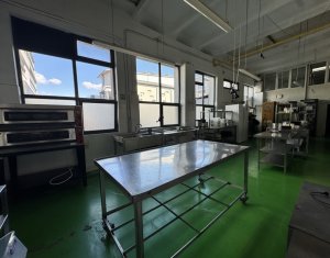 Espace Commercial à louer dans Cluj-napoca, zone Marasti