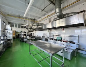 Espace Commercial à louer dans Cluj-napoca, zone Marasti