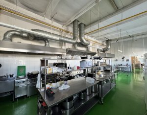 Espace Commercial à louer dans Cluj-napoca, zone Marasti