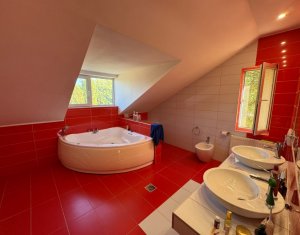 House 5 rooms for rent in Cluj-napoca, zone Faget