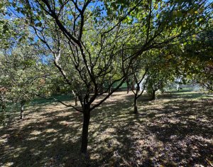 House 5 rooms for rent in Cluj-napoca, zone Faget