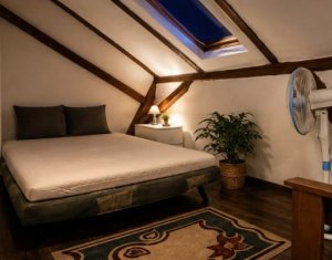 Maison 3 chambres à louer dans Cluj-napoca, zone Zorilor