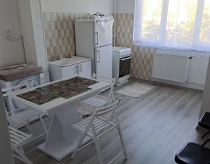 Apartament 1 camera, 40 mp | Zona linistita | Gruia 