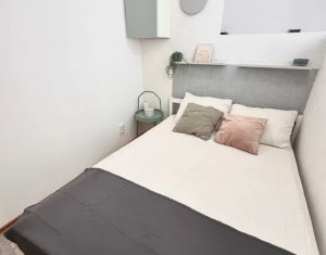 Apartament cu 2 camere, pet friendly, Iris